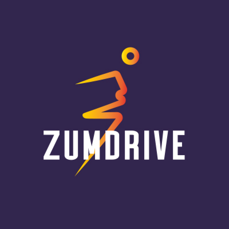 id-20-0235-zumdrive-logotip-dizajner-igor-zhevna-00